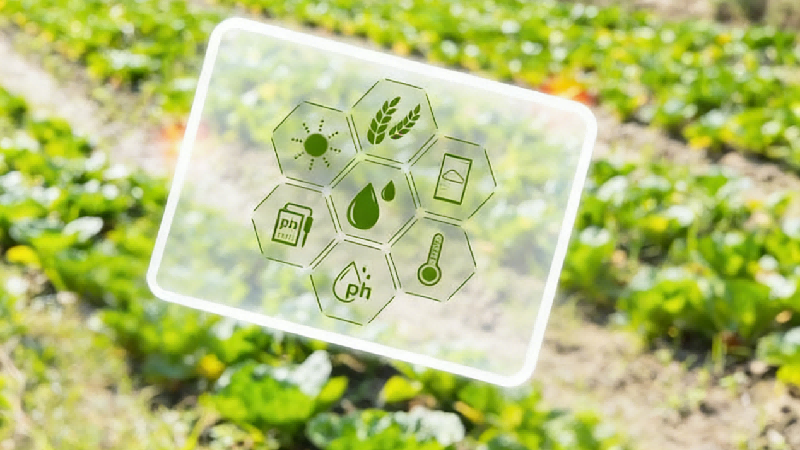 Applied Economics for Global Agri-Food Systems